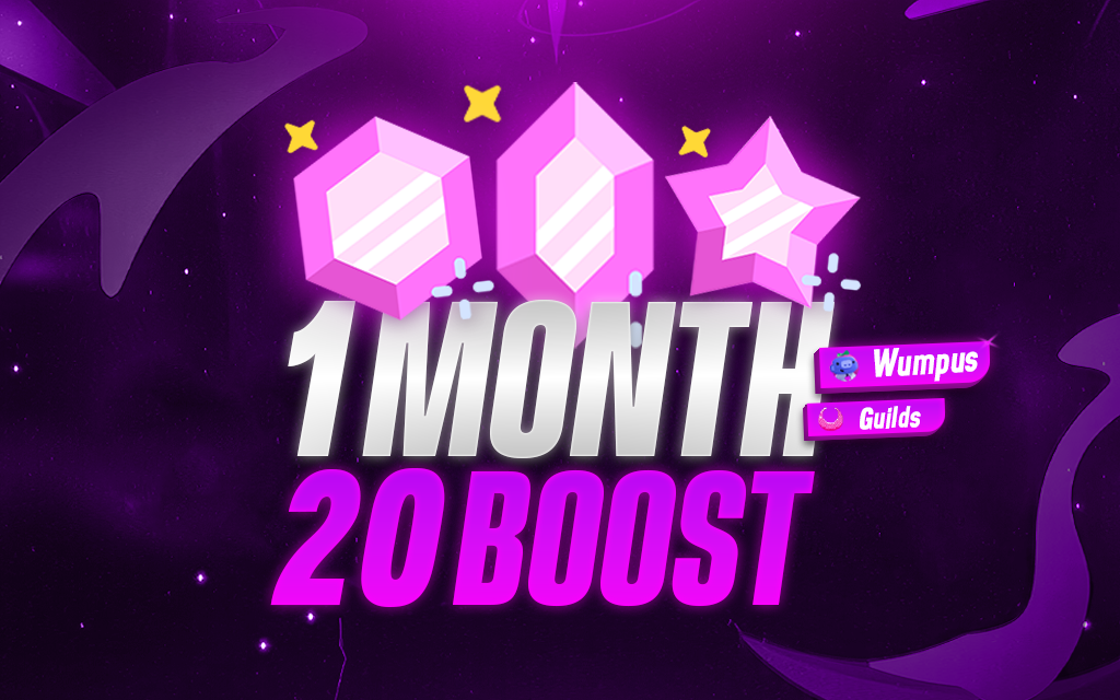 20 Server Boost (1Month)