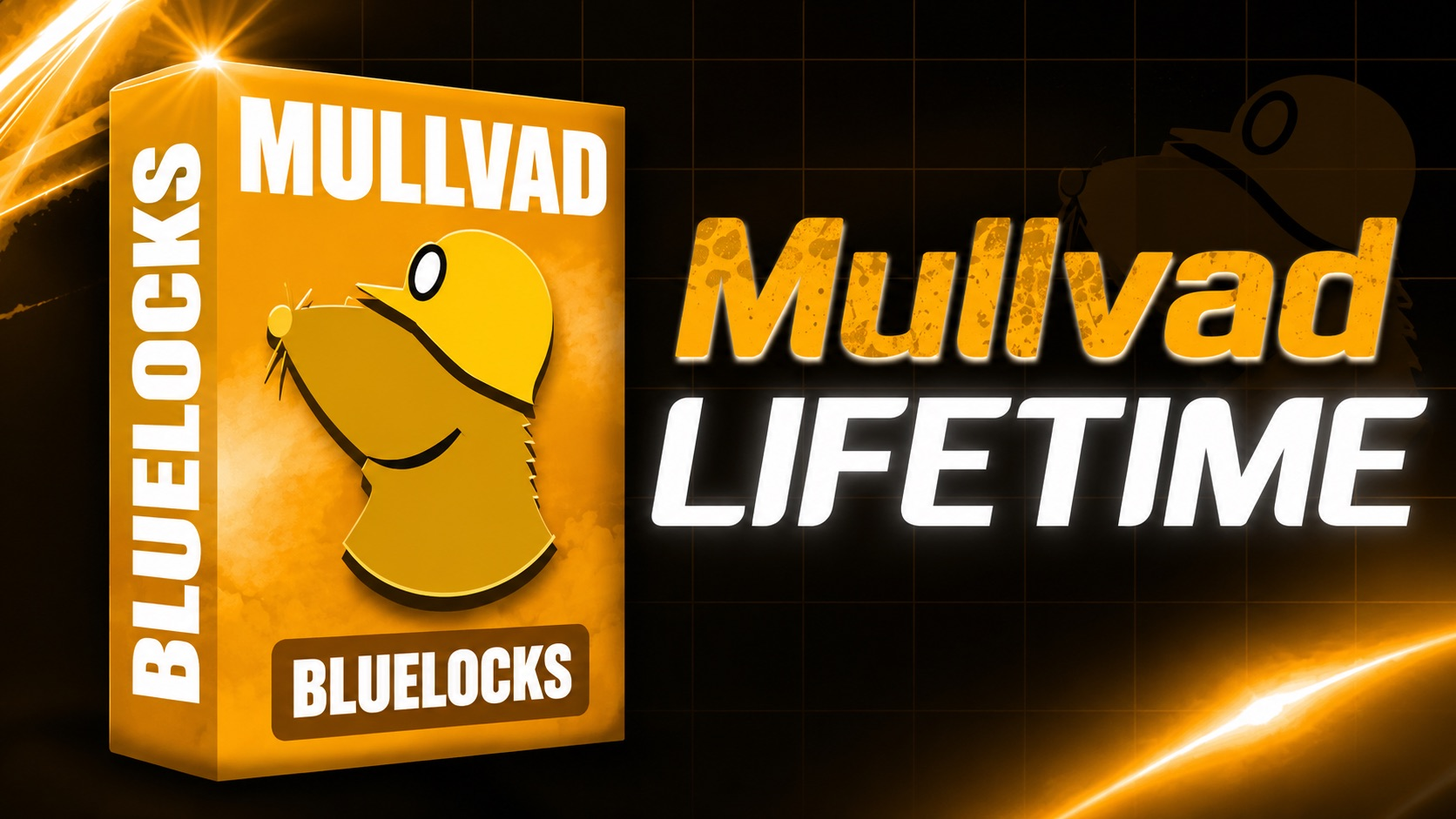 Mullvad VPN [LIFETIME]